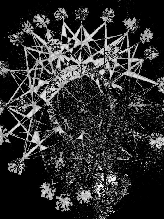 Glitchy black and white digital digital rendering of a pencil drawing of a glass sea sponge. The image has has many very sharp intersecting triangles with a fuzzy pore at the end of each exterior spoke.